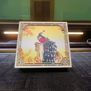 Hộp quà Tết vuông in hình chim công cực cực đẹp - Hàng Gia Công