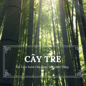 Cây tre