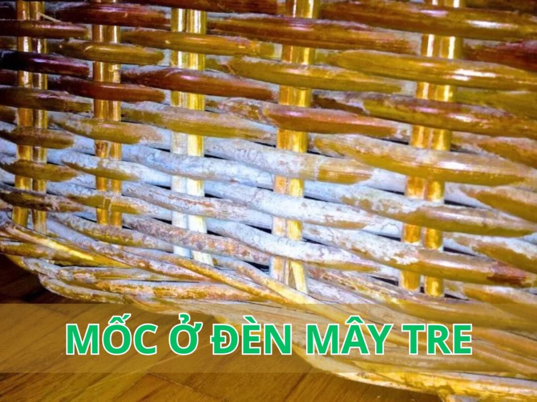Mốc ở đèn mây tre